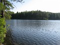 Elwell Trail NH 2010 300